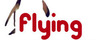Flying Penguins Ltd